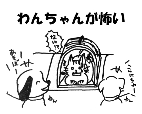 わんにゃんドック