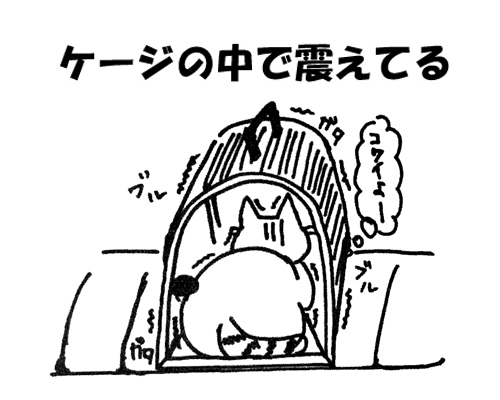 わんにゃんドック